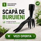 Unealtă Pentru Scos Buruieni