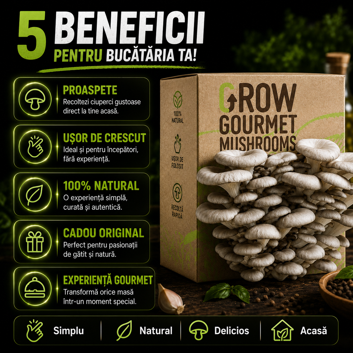 Kit de Cultivare Ciuperci Pleurotus Acasă