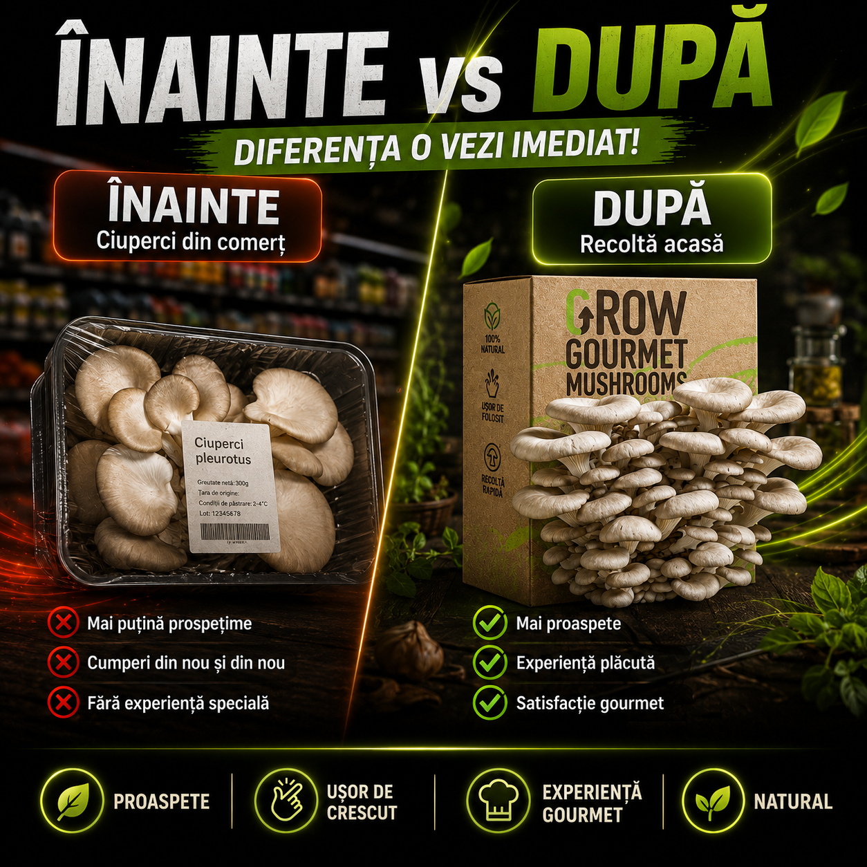 Kit de Cultivare Ciuperci Pleurotus Acasă