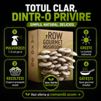Kit de Cultivare Ciuperci Pleurotus Acasă