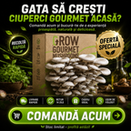 Kit de Cultivare Ciuperci Pleurotus Acasă
