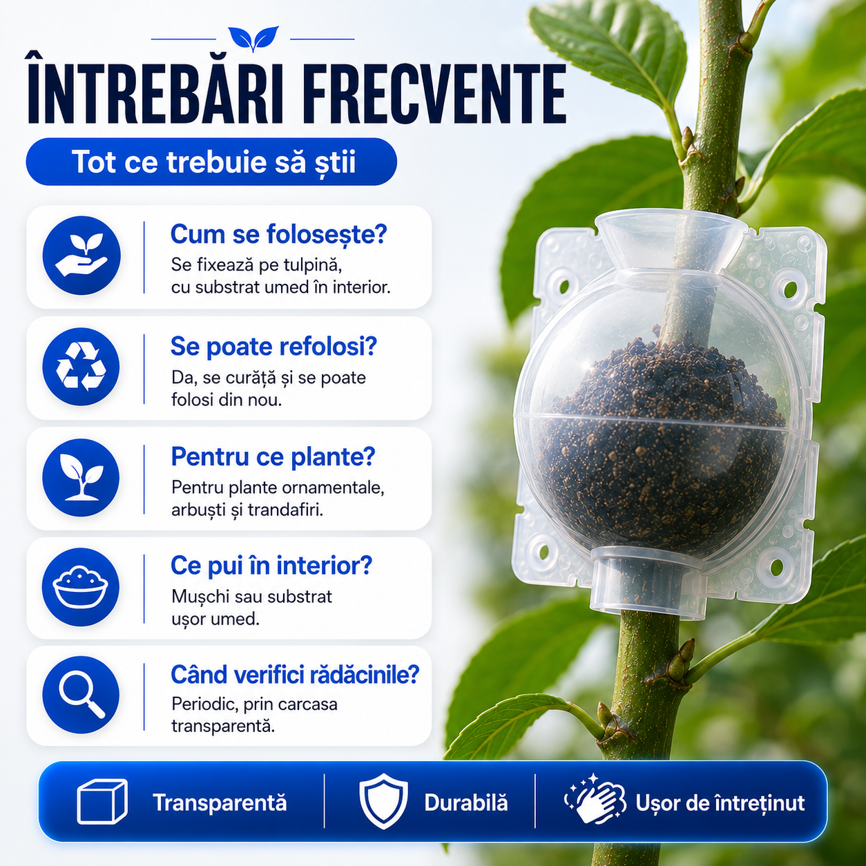 Capsulă pentru Înrădăcinarea Ramurilor