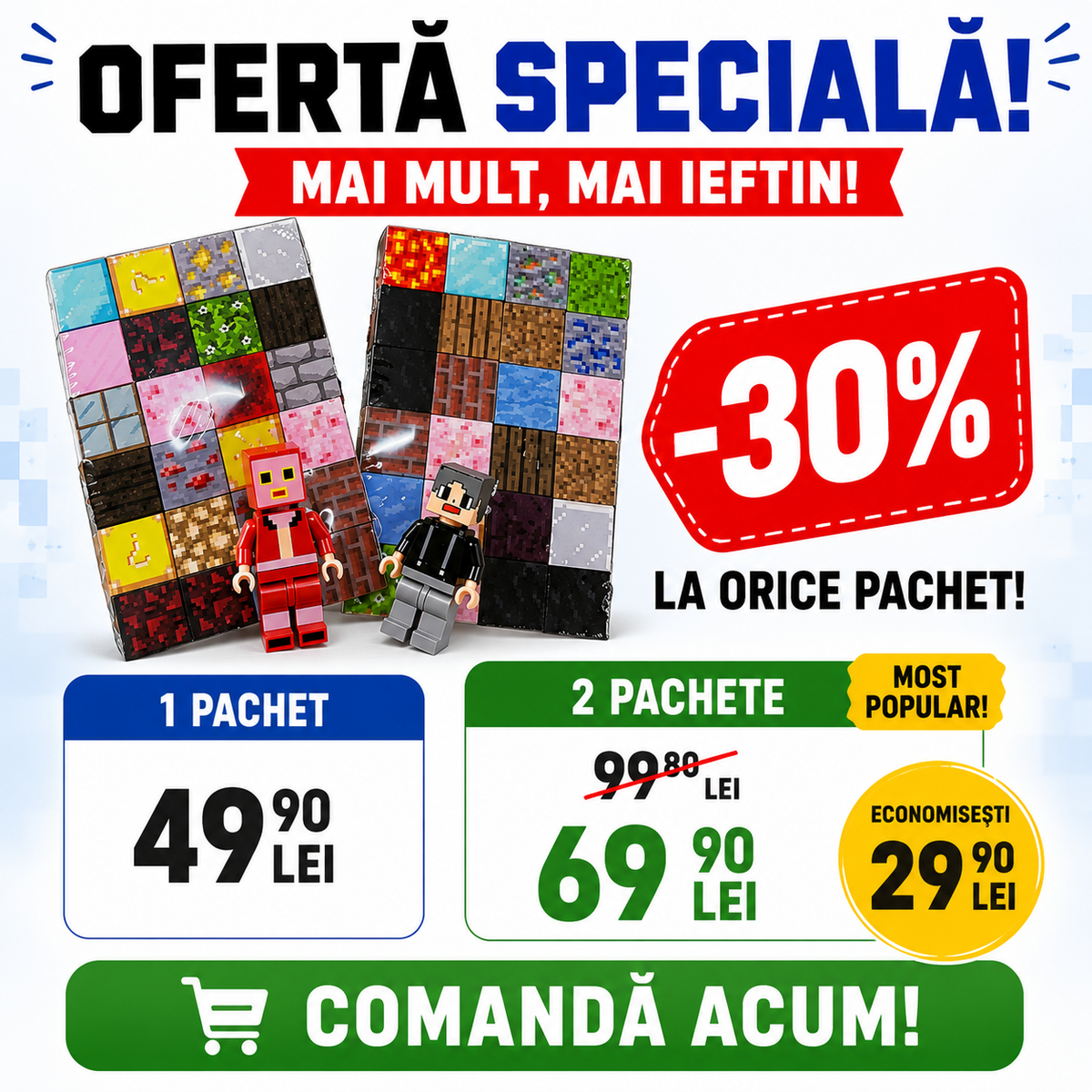 Set Construcție Minecraft Blocks