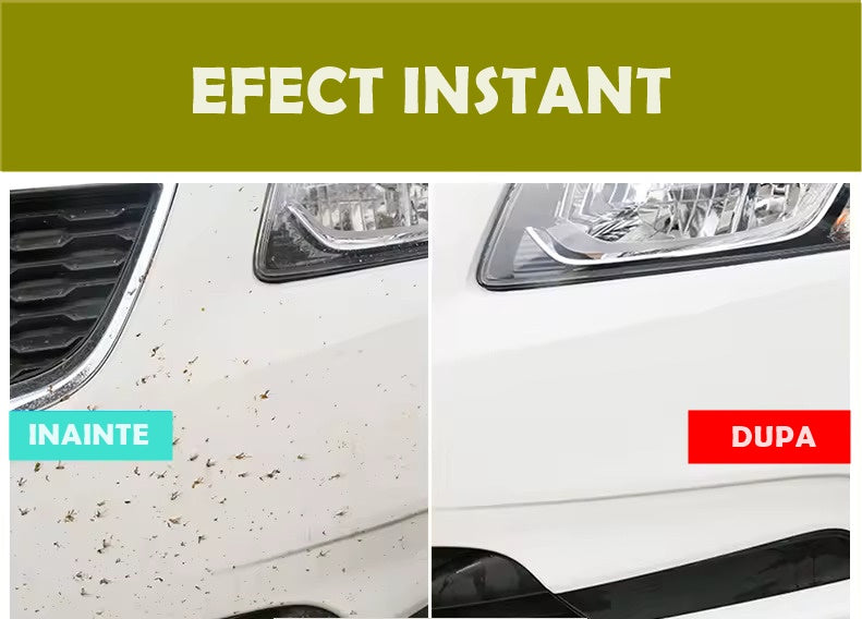 Soluție Flytox pentru Mașină