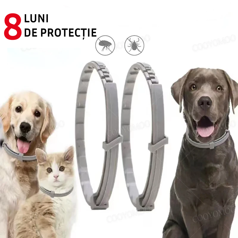 Zgardă purici pentru pisici și câini