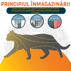 Zgardă purici pentru pisici și câini